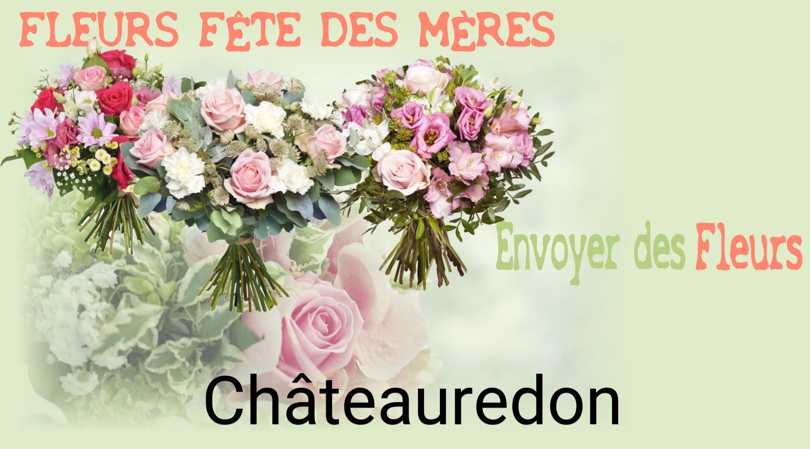 Bouquet de Fête des Mères livré à Châteauredon